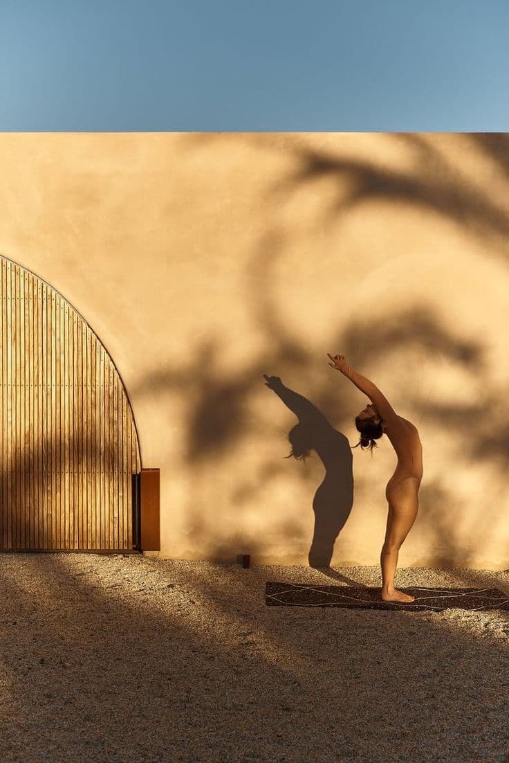 Parampara Yoga and Wellness Website Development artwork