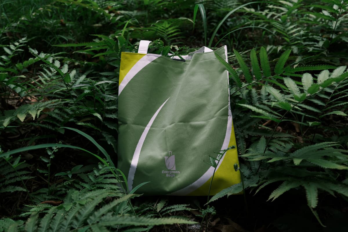Evergreen Bags artwork