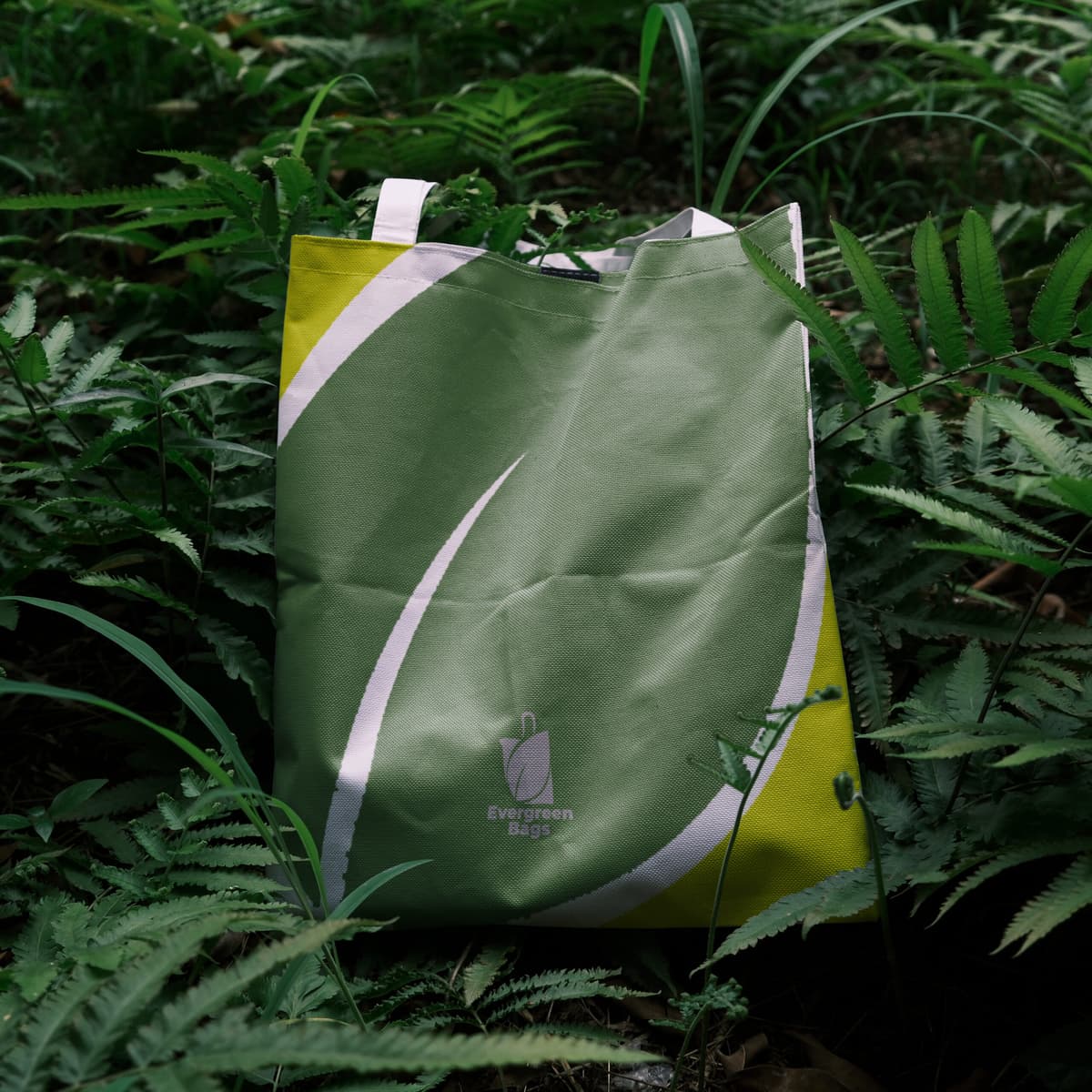 Evergreen Bags artwork