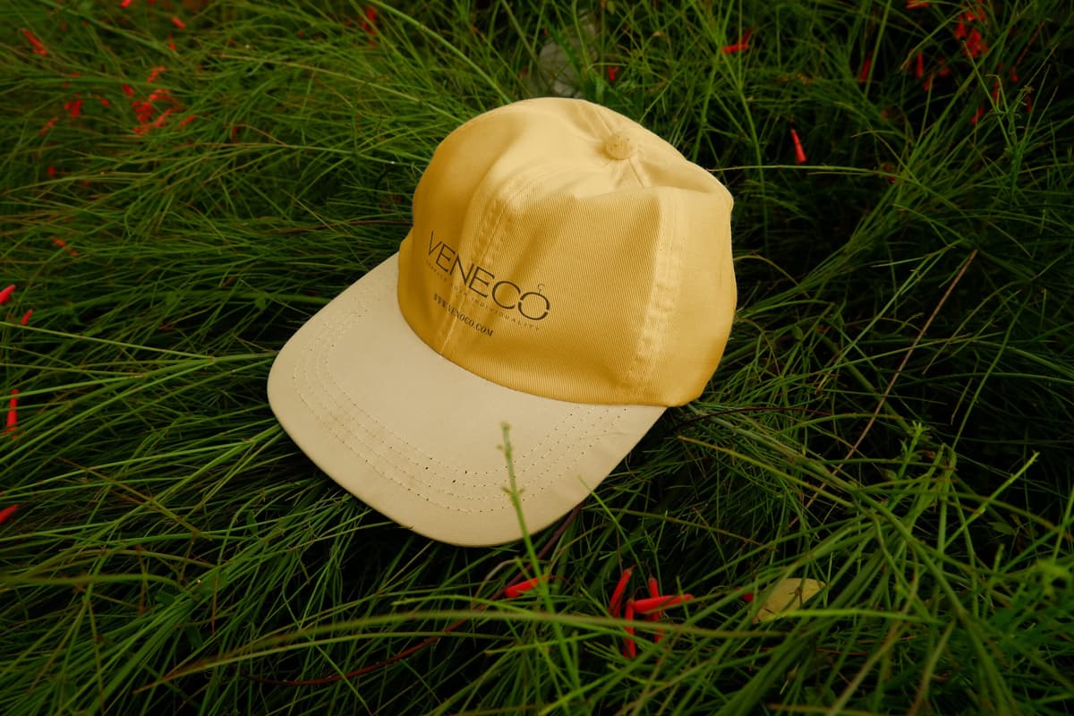 Veneco artwork