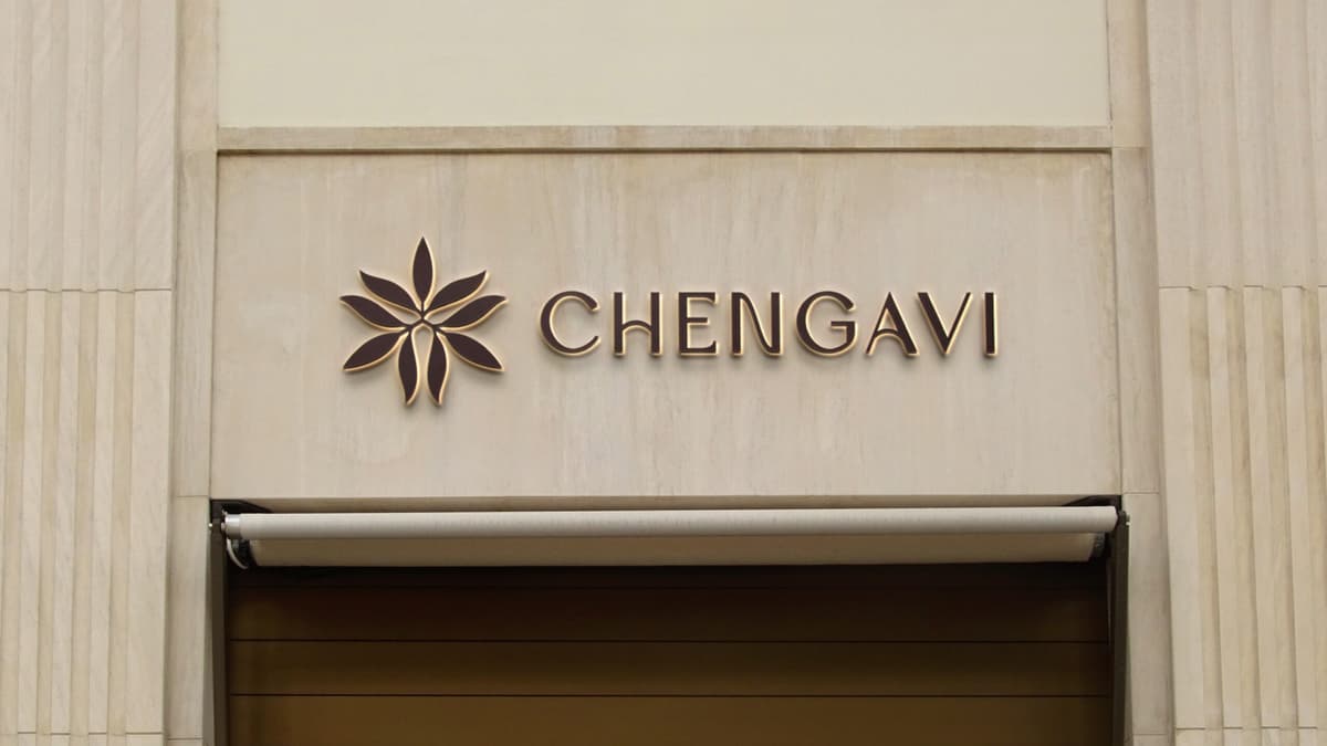 Chengavi Brand Guidelines artwork