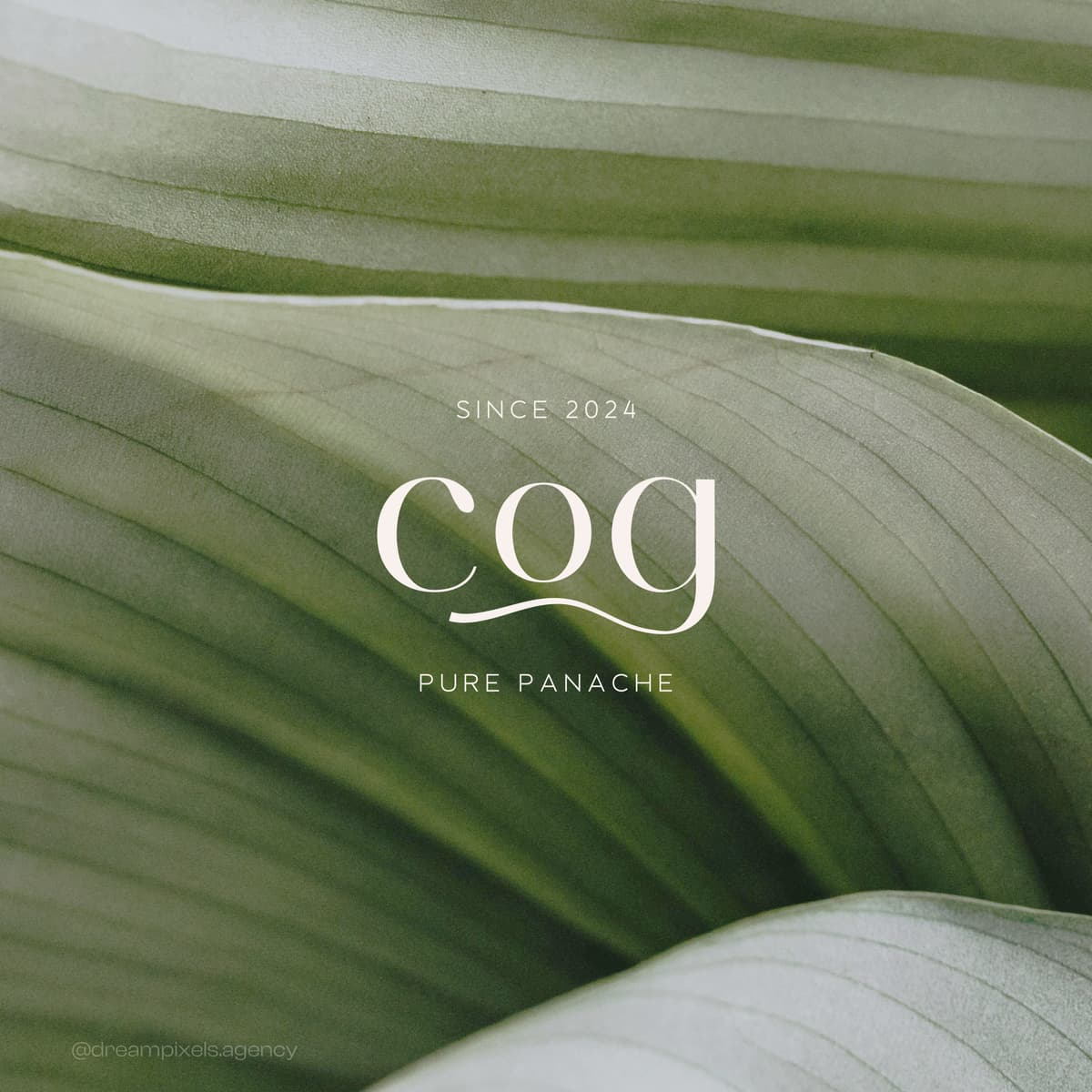 COG Branding artwork