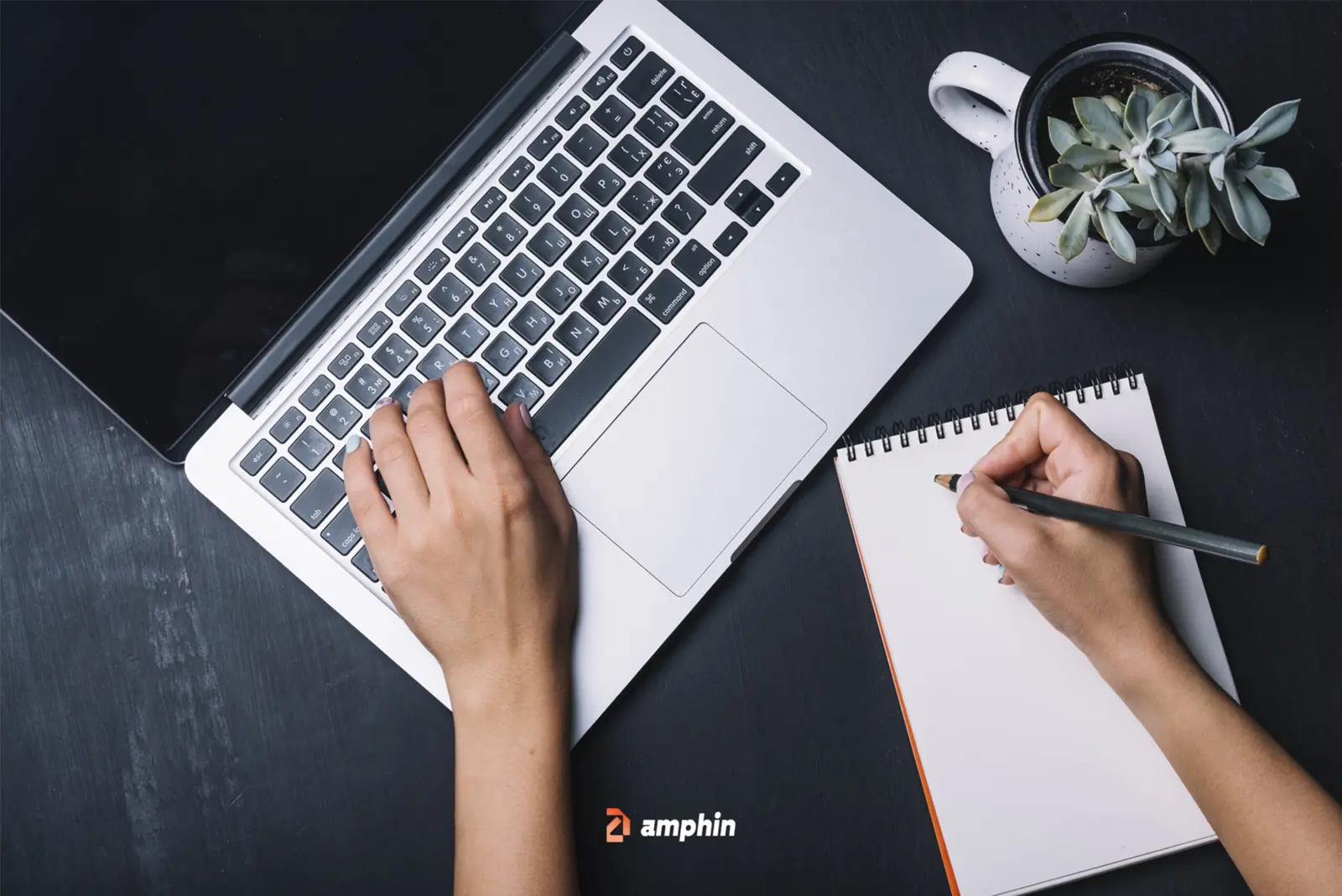 Copywriting in Abu Dhabi: Amphin