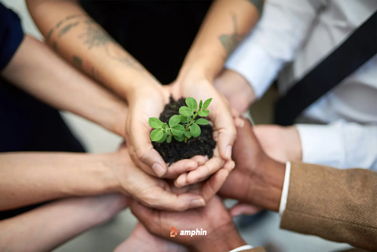 CSR in Abu Dhabi: Amphin