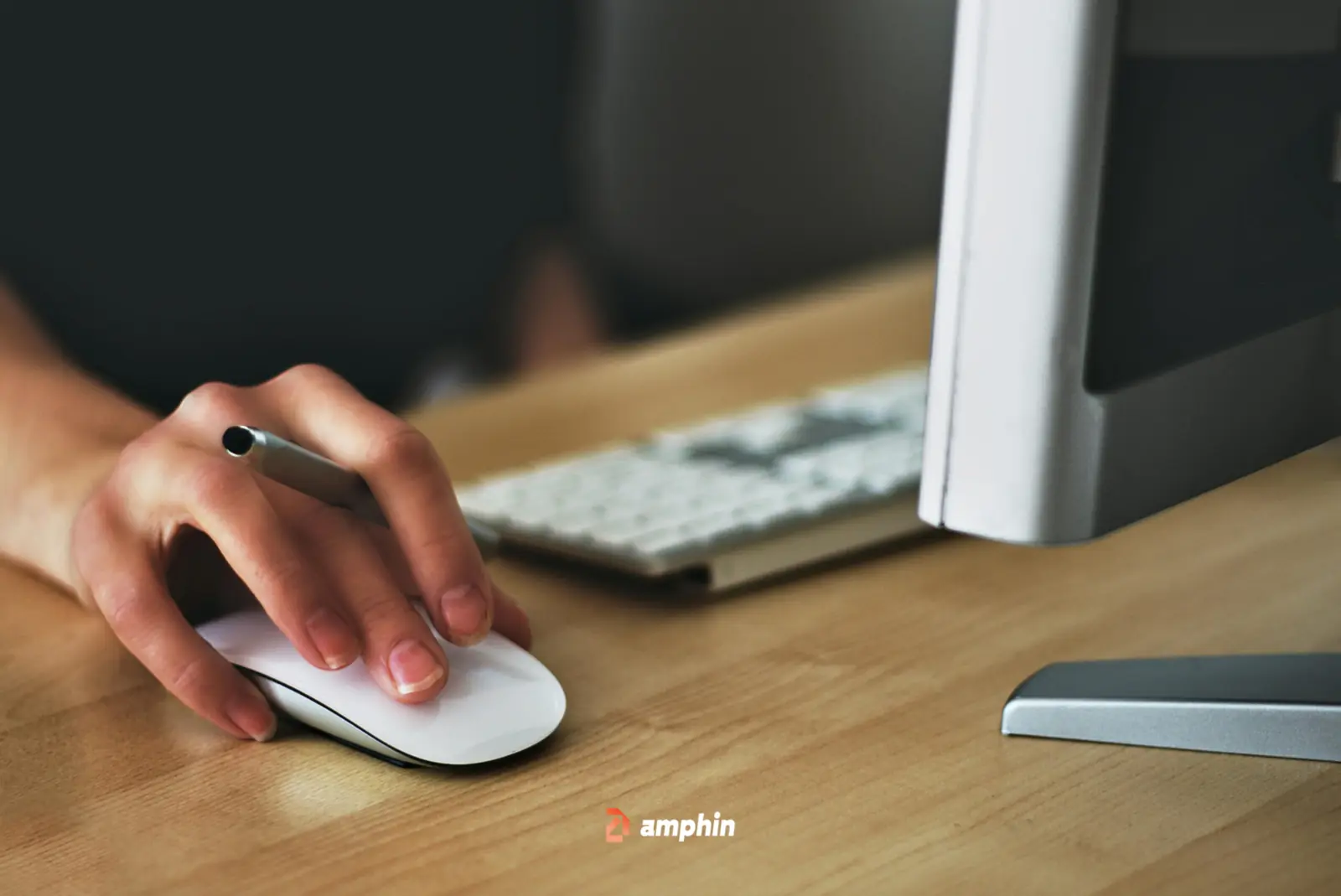 PPC (Pay Per Click) Campaigns in Abu Dhabi: Amphin