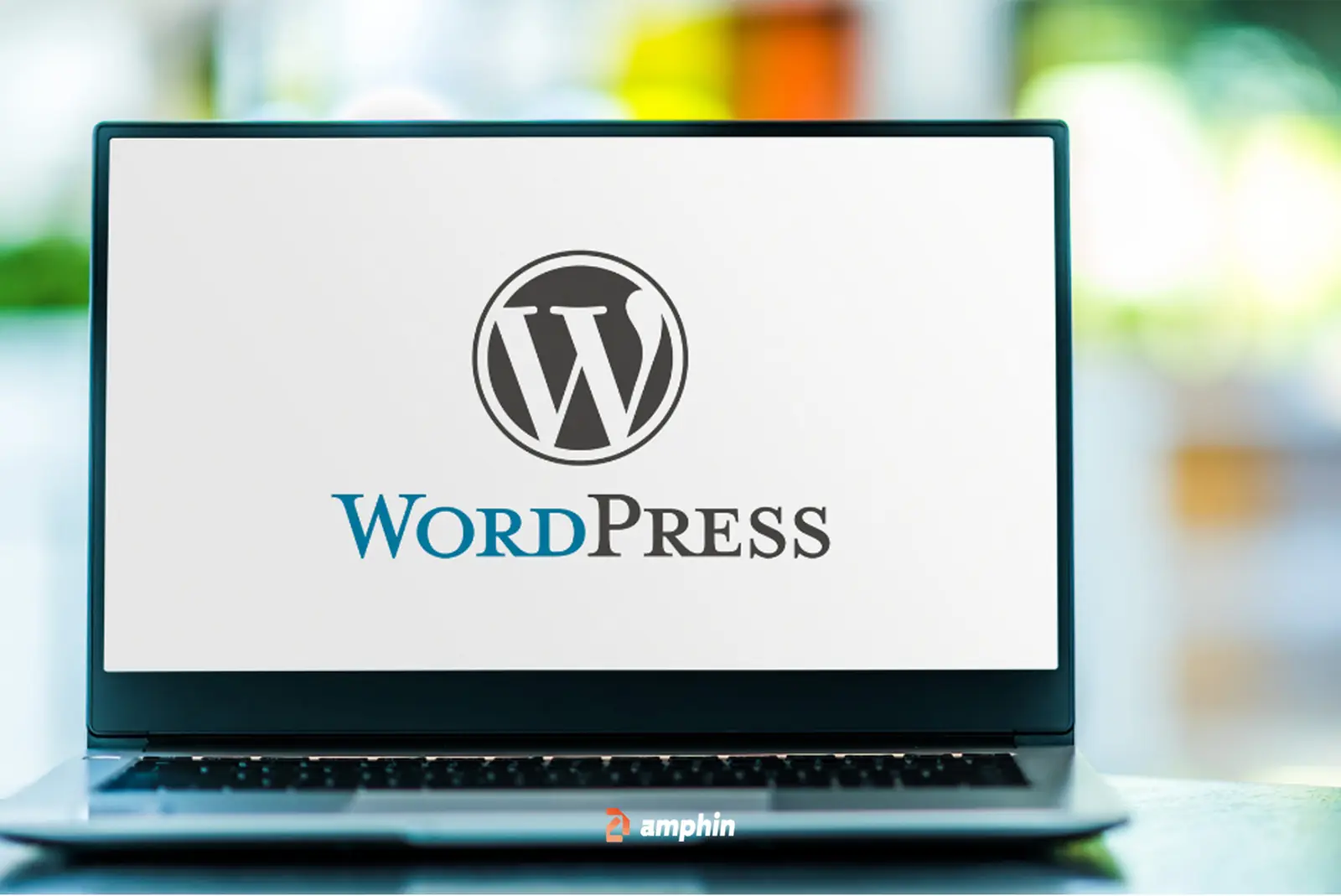 WordPress Websites in Abu Dhabi: Amphin